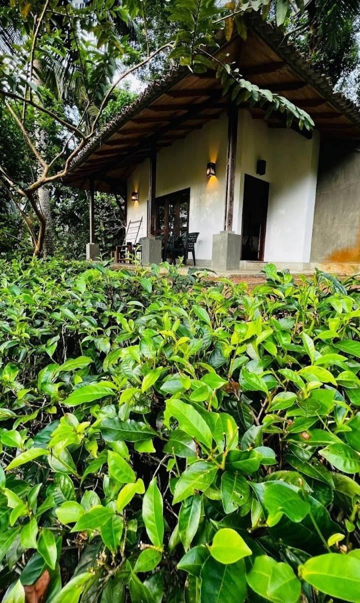 Bed and Breakfast Leisure Land Ґалле Номер фото