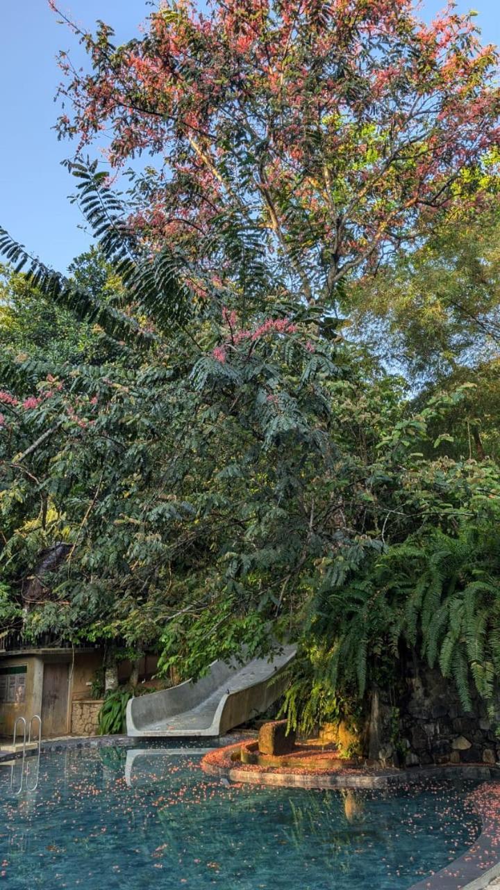 Bed and Breakfast Leisure Land Ґалле Номер фото